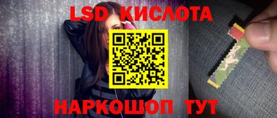 прущие грибы Свободный