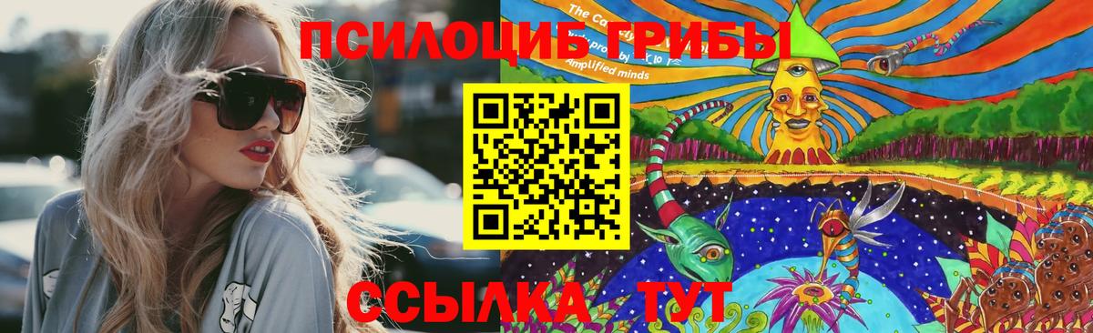 Галлюциногенные грибы MAGIC MUSHROOMS Скопин